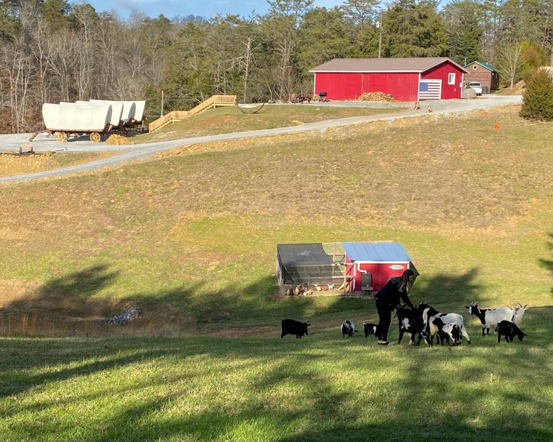 Smoky Hollow Outdoor Resort Covered Wagon Sevierville Eksteriør bilde